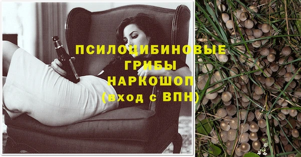 шишки Надым