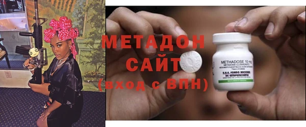 шишки Надым