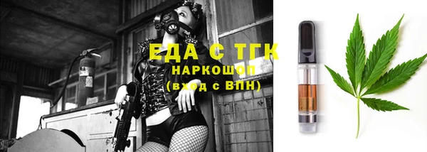 шишки Надым