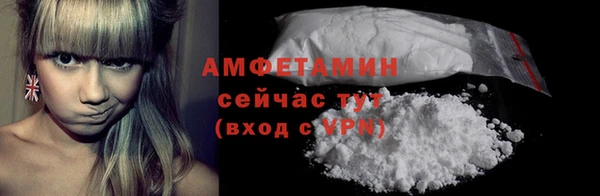 шишки Надым