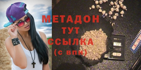 шишки Надым