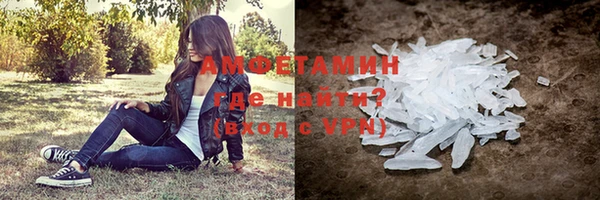шишки Надым