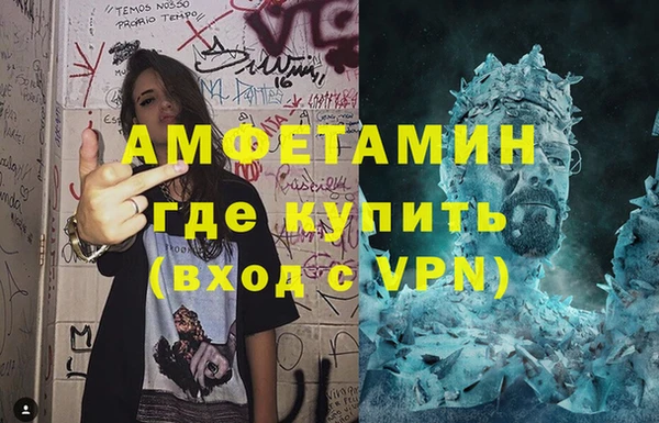 шишки Надым
