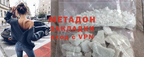 прущие грибы Волоколамск