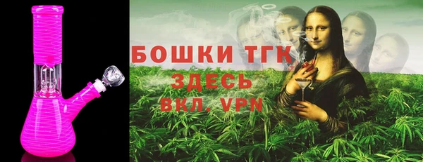 шишки Надым