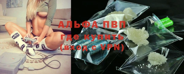 шишки Надым