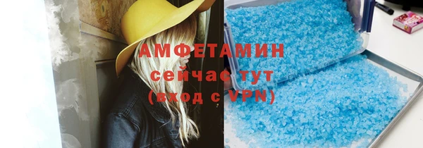 шишки Надым