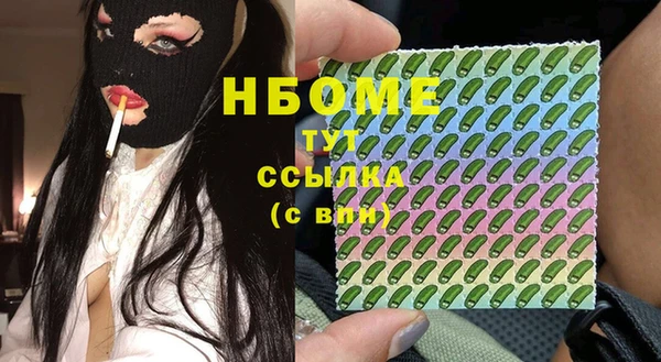 шишки Надым