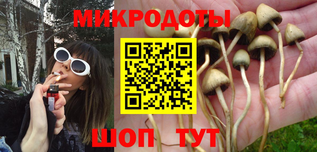 Галлюциногенные грибы Magic Shrooms Заинск