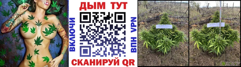 Каннабис сатива  мориарти как зайти  Заинск 